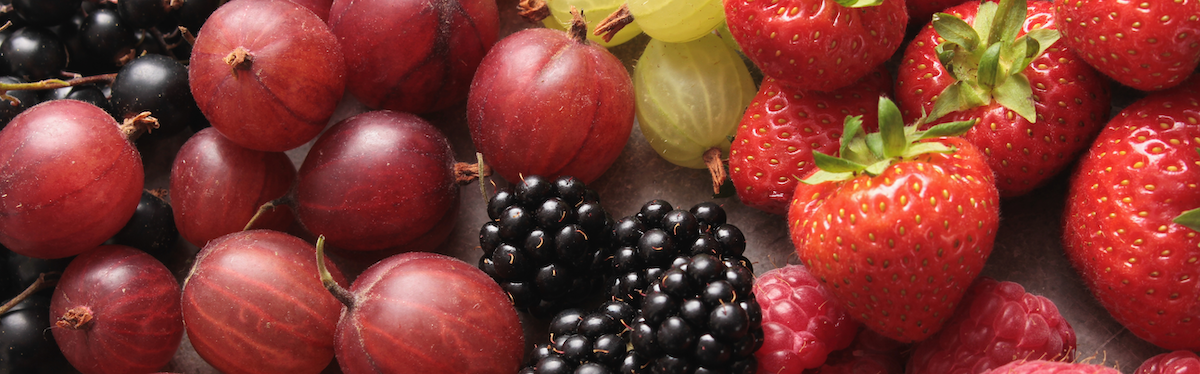 Berries