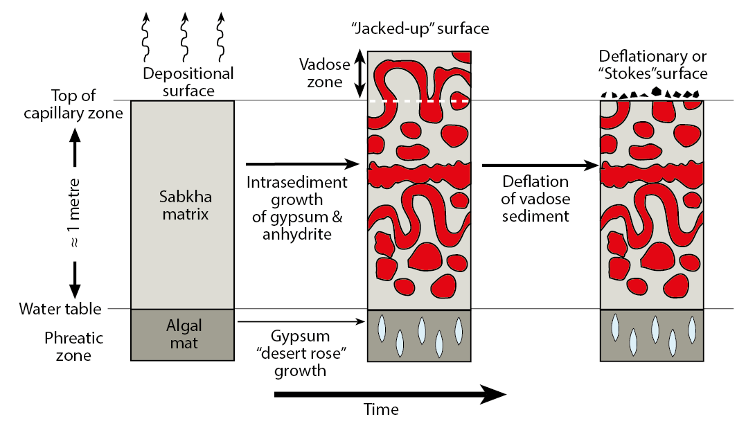 Sabkha_nodule_growth_hydrology