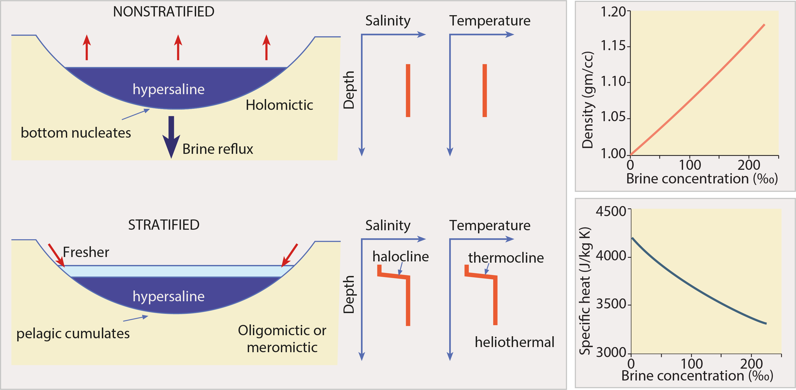 Stratification