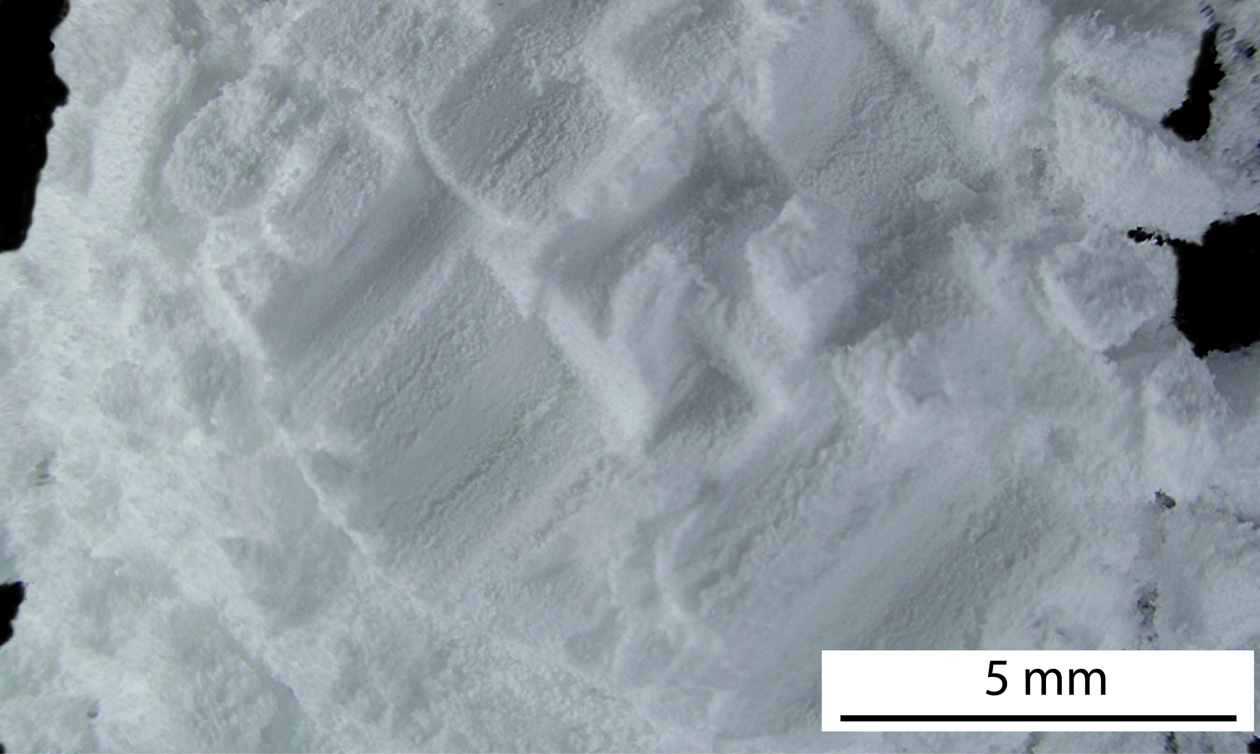 Zabuyelite1